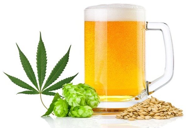 Sip and Chill: How Drinks Made from Weed Are Changing Relaxation