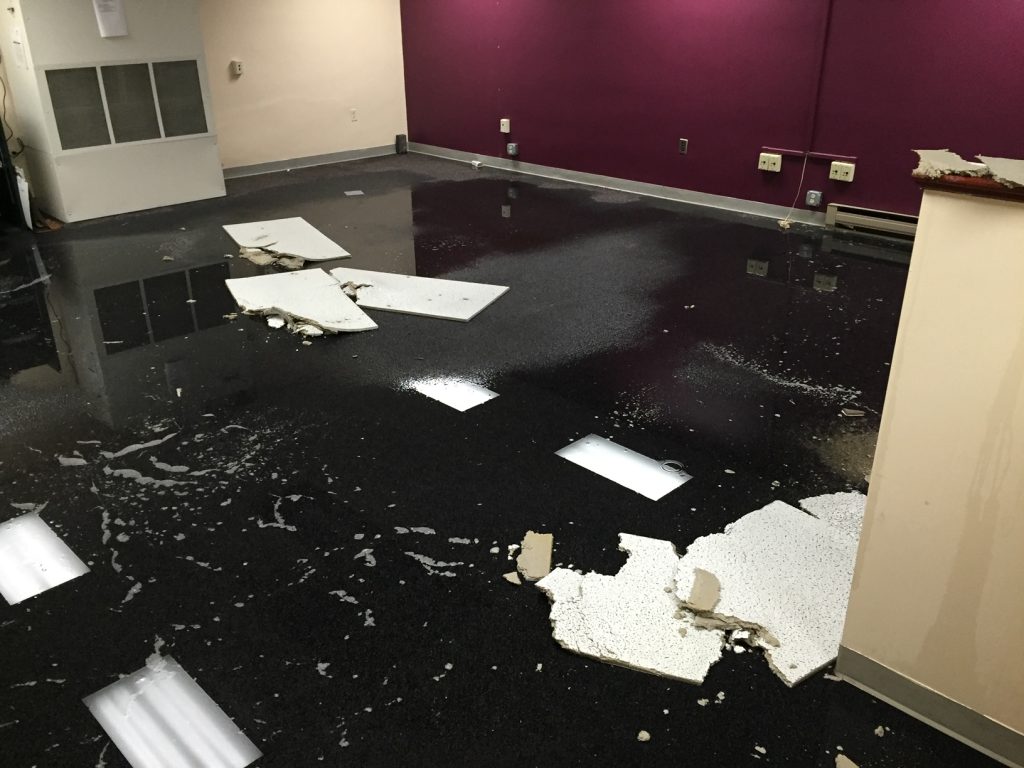 Saving Money By Preventing Expensive Repairs Using Professional Water Damage Restoration
